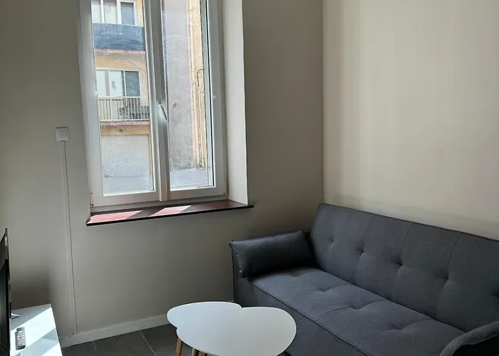 Appartement Hyper-centre De Nancy